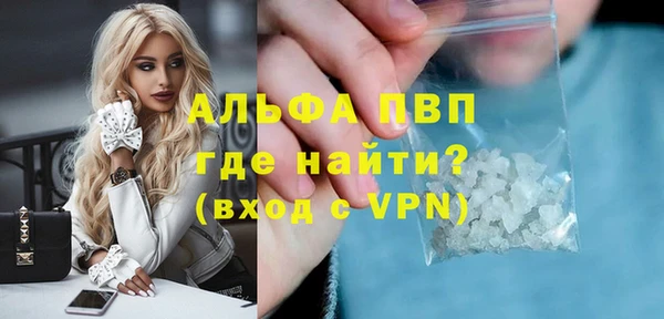 твердый Магас