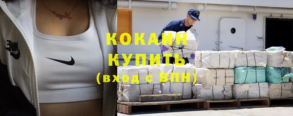твердый Магас