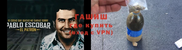 твердый Магас