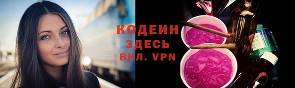 твердый Магас