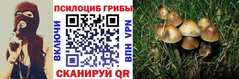 Псилоцибиновые грибы мицелий  Шадринск 