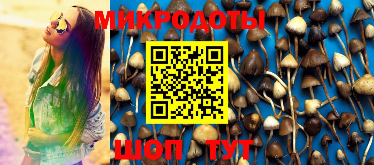 Шадринск  Псилоцибиновые грибы MAGIC MUSHROOMS  Вход с VPN  Галлюциногенные грибы Magic Shrooms 