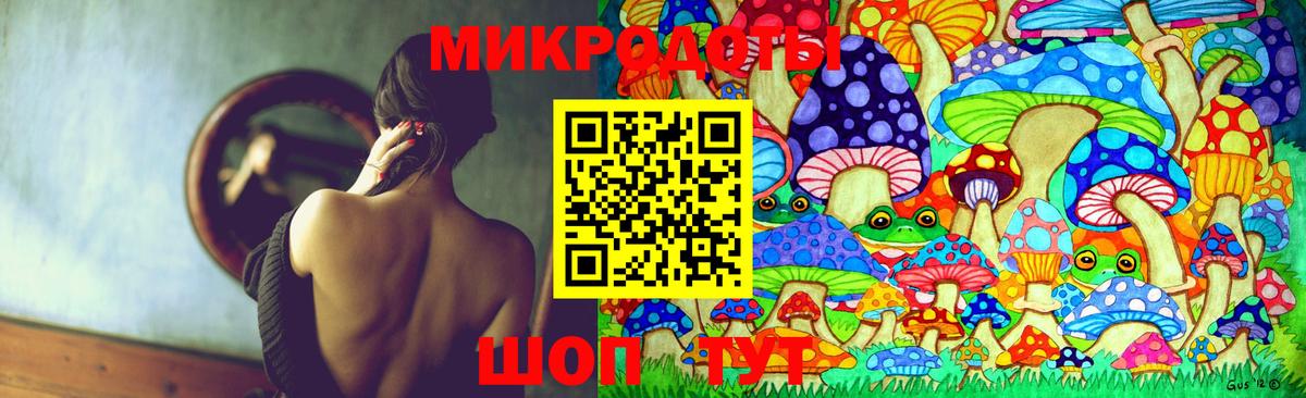 Псилоцибиновые грибы мицелий Шадринск