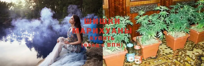 что такое   Шадринск  Шишки марихуана OG Kush 